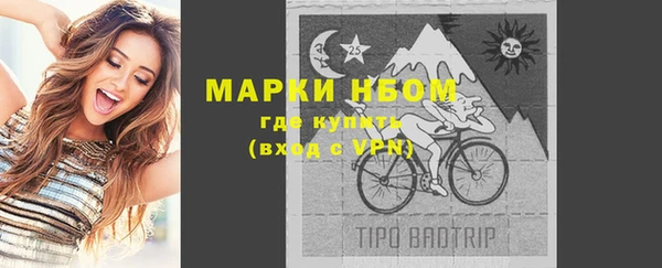 PSILOCYBIN Вяземский