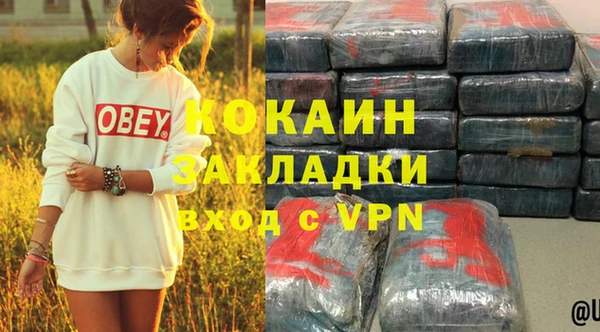 PSILOCYBIN Вяземский