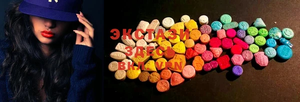 PSILOCYBIN Вяземский