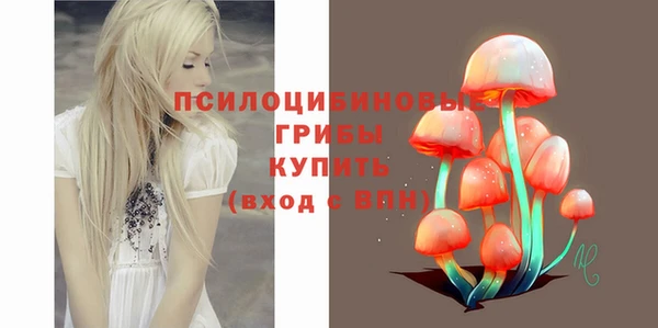 PSILOCYBIN Вяземский