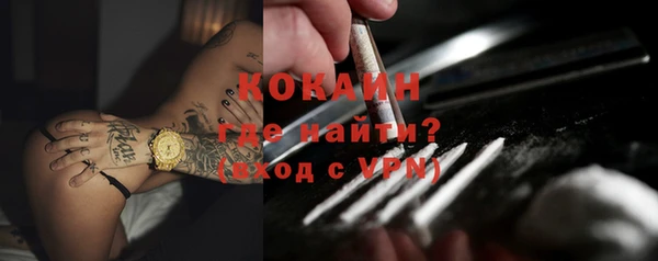 PSILOCYBIN Вяземский