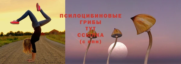 амф Вязники