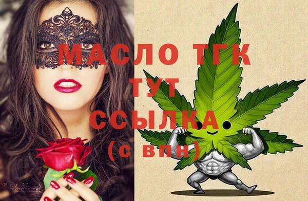 PSILOCYBIN Вяземский