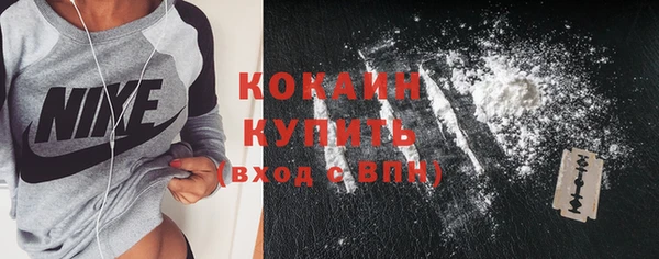 PSILOCYBIN Вяземский