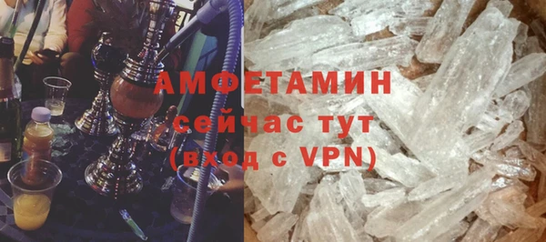 PSILOCYBIN Вяземский