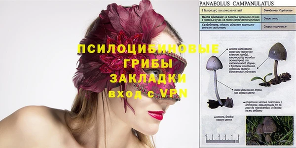 PSILOCYBIN Вяземский